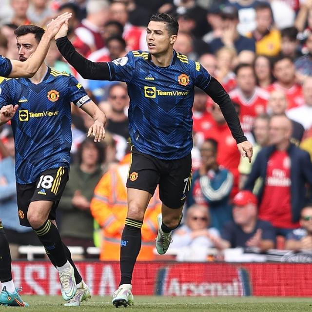 系列的化石 系列的化石