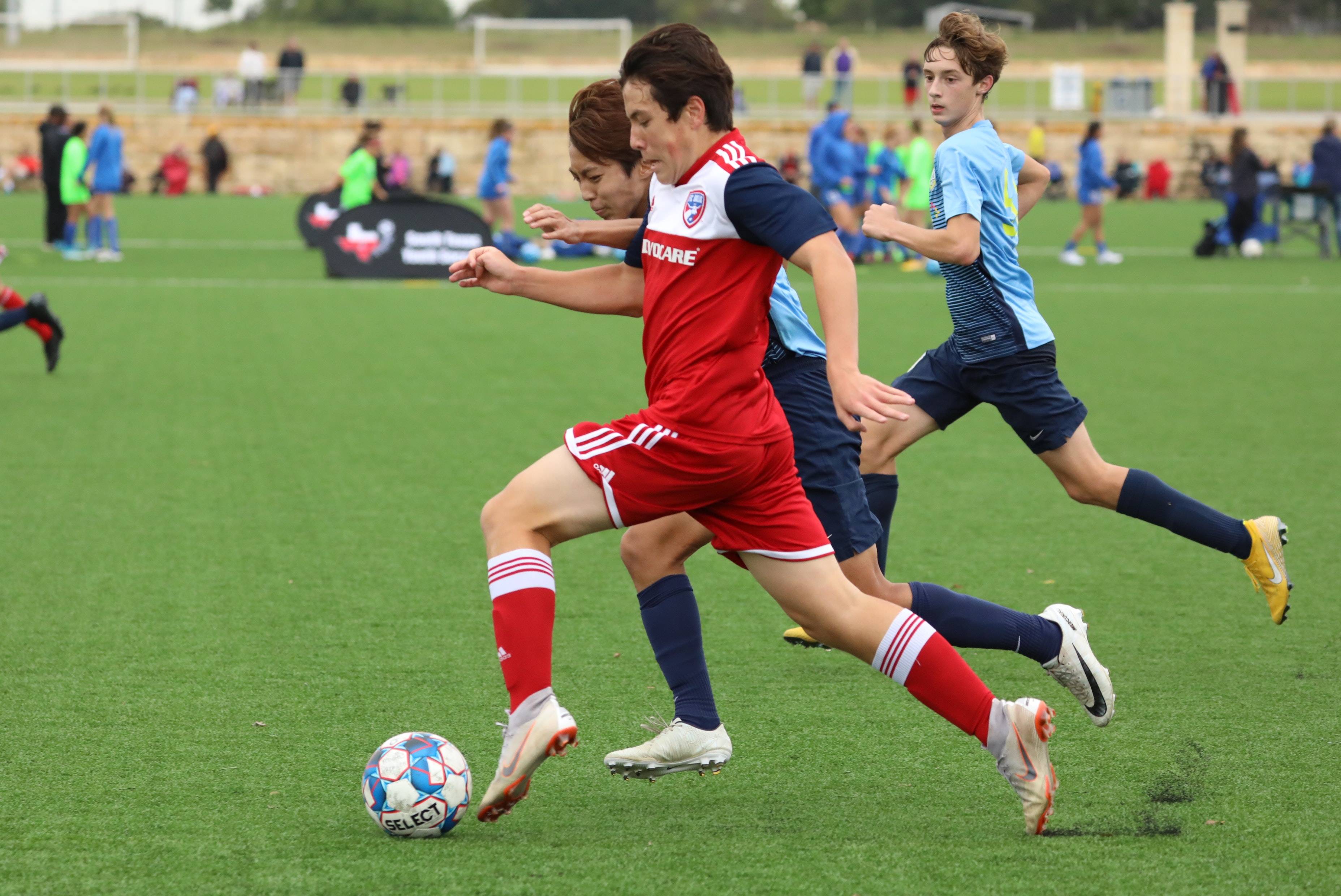 可见两种典 可见两种典